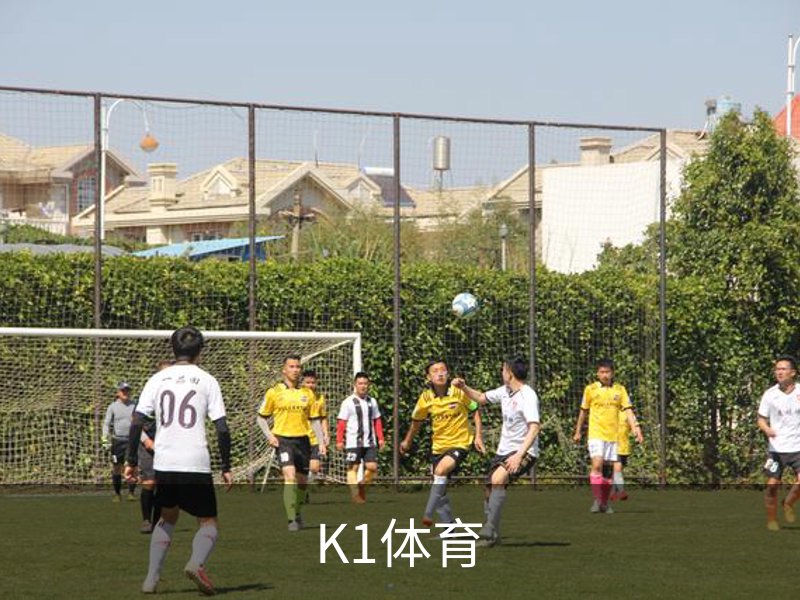 K1体育浏览中心与体育内容导航